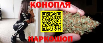 гидропоника Гагарин