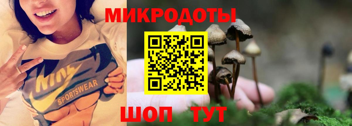Курск  Галлюциногенные грибы ЛСД  Псилоцибиновые грибы Psilocybine cubensis  Вход с VPN 